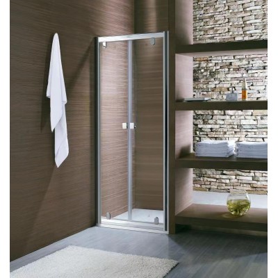 Shower Glass - Shine Series Double Pivot Doors 1000X1900mm